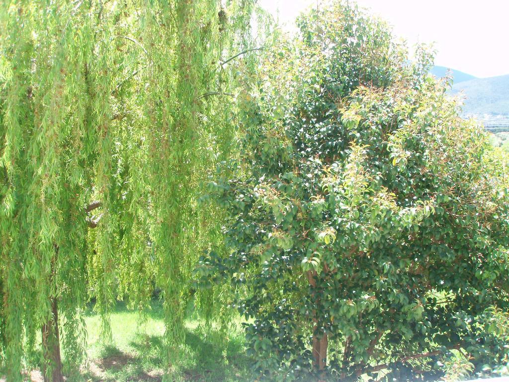 Finikes Studios Kefalonia Sami  Exterior foto