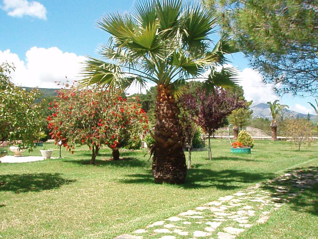 Finikes Studios Kefalonia Sami  Exterior foto