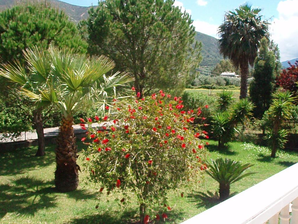 Finikes Studios Kefalonia Sami  Exterior foto
