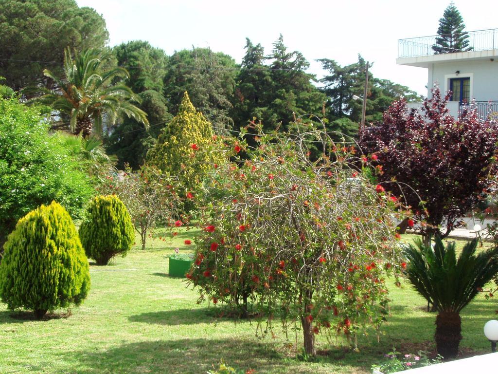 Finikes Studios Kefalonia Sami  Exterior foto
