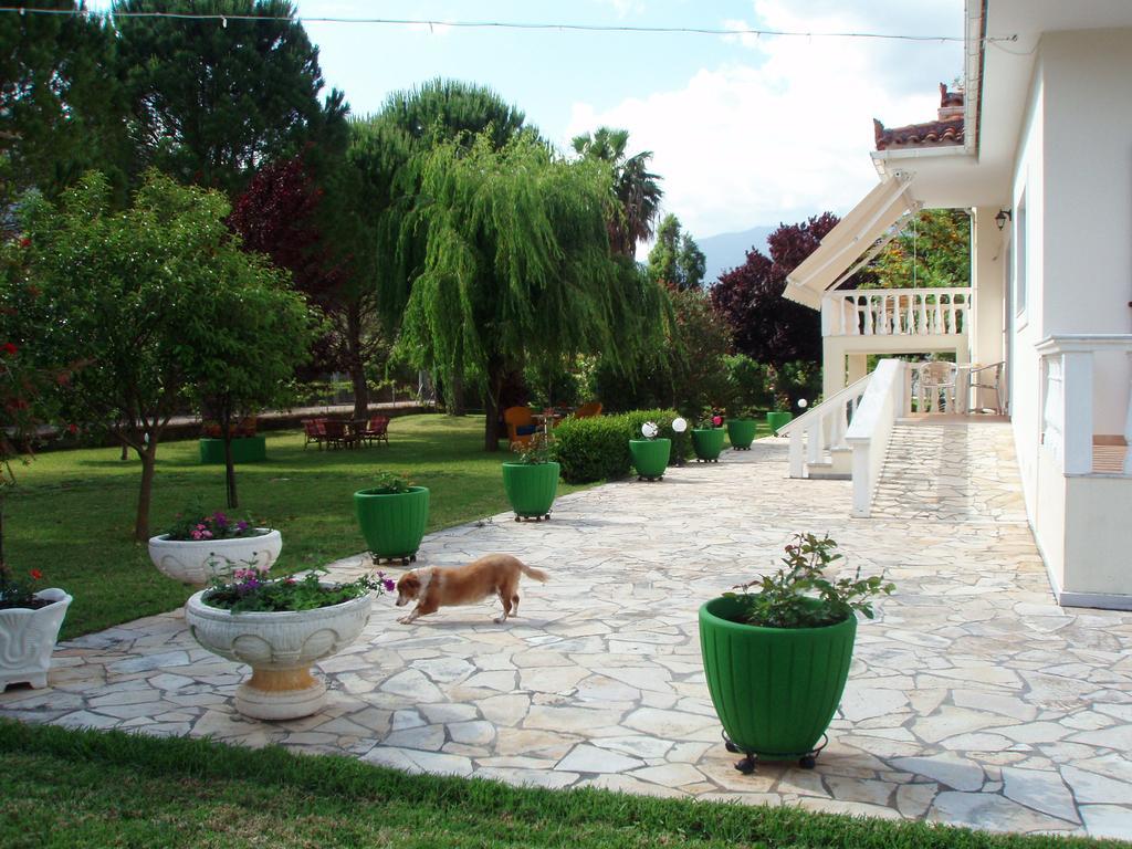 Finikes Studios Kefalonia Sami  Exterior foto